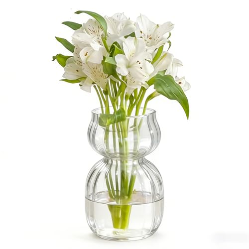 Gute Mini Clear Glass Vase, Small Petite Flower...
