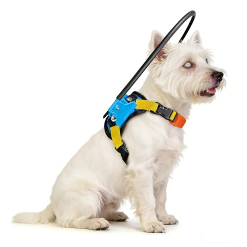 Adjustable Blind Dog Halo Collar with Navigation Ring