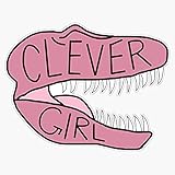 JB Print Clever Girl Vinyl Decal Sticker Car Waterproof Car Decal Bumper Sticker 5'