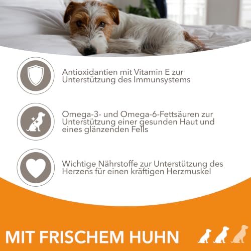IAMS Hundefutter trocken mit Huhn - Trockenfutter für Erwachsene Hunde ab 1 Jahr, geeignet für kleine & mittelgroße Hunde, 3 kg