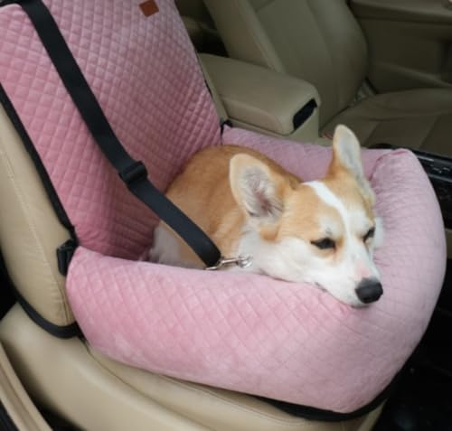 Xemuar ԌԃybgNbVȃNbVqԃNbVJ[V[gNbV (sN)