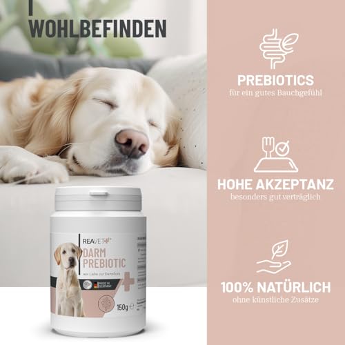 ReaVET Darm Prebiotic für Hunde 150g - Präbiotikum zur Unterstützung der Darmflora & Verdauung - Natürliche Darmkur bei sensibler Verdauung, Hund Darmflora aufbauen, Darmsanierung für alle Hunderassen