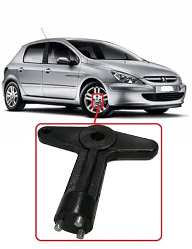 Twowinds Radkappe Schlüssel Kompatibel mit Renault Clio Espace Kangoo Megane Opel 7700422600 Diebstahlsicherung Sicherheit