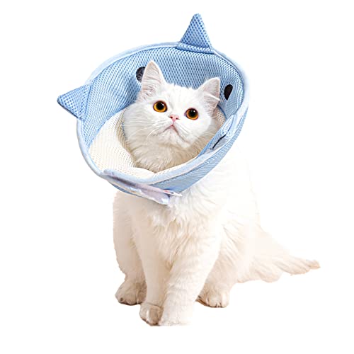 10 Purrfect Cones for Kittens to Keep Them Entertained A