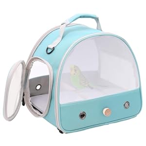 Parrotlets Travel Carrier with Standing Perch,Lightweight Breathable Parrot Cage, Small Pet Carrier Bag with Shoulder Strap,Bird Rat Guinea Pig Squirrel (Black-NLW, One Size)