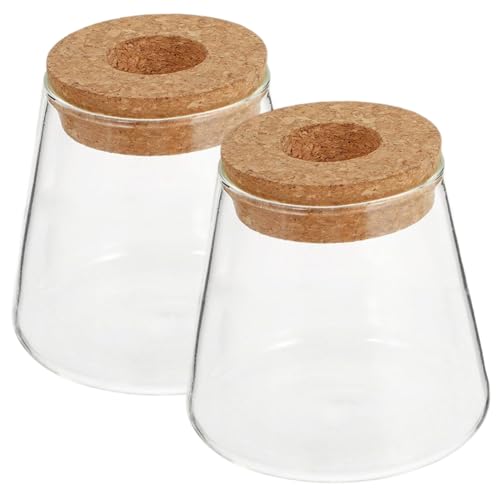 Lot de 2 vases de propagation pour plantes, pots de propagation en verre avec couvercle en bois réutilisables pour la culture de plantes hydroponiques