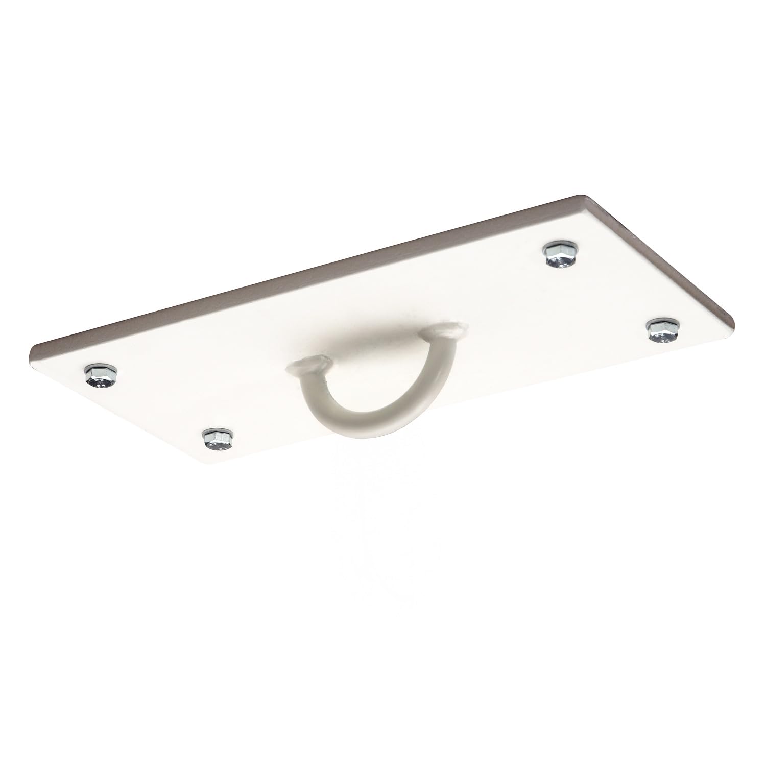Sport Thieme Plaque de Suspension