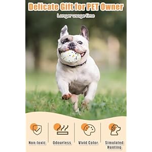 2Pcs grade Bone Dog Balls for Aggressive Chewers, Indestructible Tennis Balls for Dogs (Bone+Rugby)