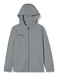 Kapuze mit Kordelzug PUMA Kinder LIGA Casuals Hoody Jacket Jr Jacke, Medium Gray Heather Black, 176