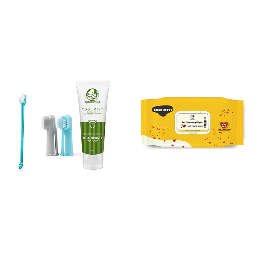 Foodie Puppies Cool Mint Toothpaste And Toothbrush Combo For Dogs - 100G & Anti Bacterial Grooming Wet Pet Wipes For Dogs 6"X 8" - Pack Of 100 Wipes (B0CDDCFYLD) Amazon Price History, Amazon Price Tracker