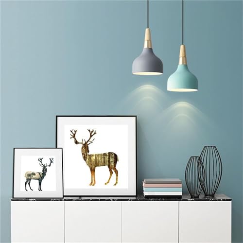 Chandelier scandinave blanc E27 suspension réglable à 1 lampe - 2