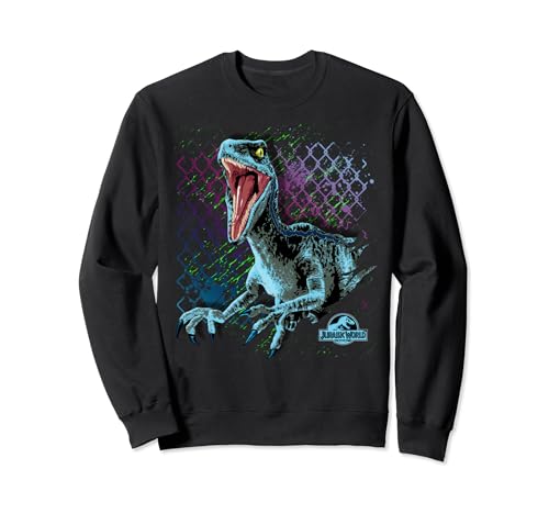 Sweatshirt Jurassic World Raptor à offrir en cadeau original pour anniversaire