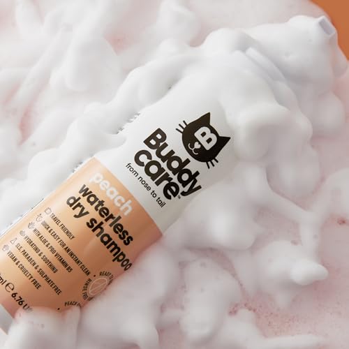 Buddycare No Rinse Wasserloses Trockenshampoo für Katzen (200 ml) | Pfirsich-Katzen-Shampoo für empfindliche Haut | schnell trocknend, natürlich, einfach zu verwenden für frisches, trockenes