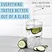 Maplefield Glass Tumbler with Dome Lid, 16oz - Reusable Iced Coffee Cup with Straw - Spill-Resistant Drinking Cup for Frappes & Smoothies - Dishwasher Safe [Clear]