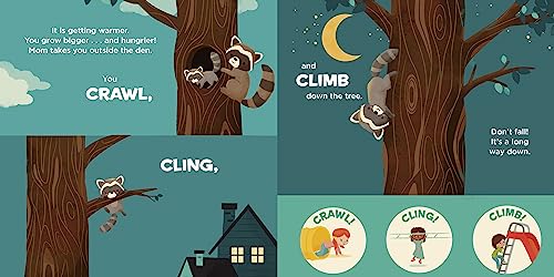 You Are a Raccoon! (Meet Your World) - Image 3