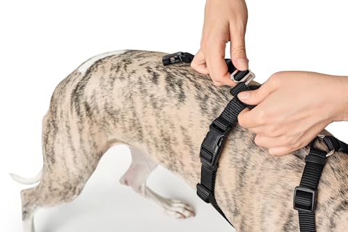 HUNTER Sicherheitsgeschirr VARIO RAPID, Panikgeschirr mit extra Bauchgurt, ausbruchssicher & verstellbar, auch als klassisches Y-Geschirr nutzbar, leichte Klickverschlüsse, Farbe: schwarz, Größe: S-M