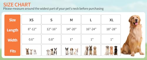 Collar reflectante para perro talla S color teal miniatura 6