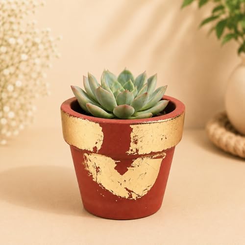 Image of Habere India-All the Cultures Fabricating India Hand Painted Terracotta Planter | Red & Golden Indoor Plant Pot | Breathable Clay Pot with Drainage Hole (Golden: L12.5 x W12.5 x H11 cm)
