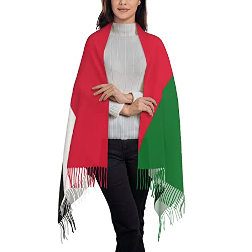 TZT Flag of Romania Scarf For Women and Men Winter Warm Scarves Large Shawl Wrap Shawl Gifts2