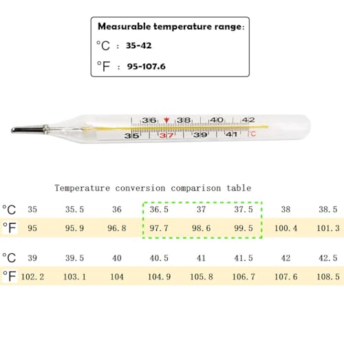 healifty 2pcs mercury general use temperature testing tools