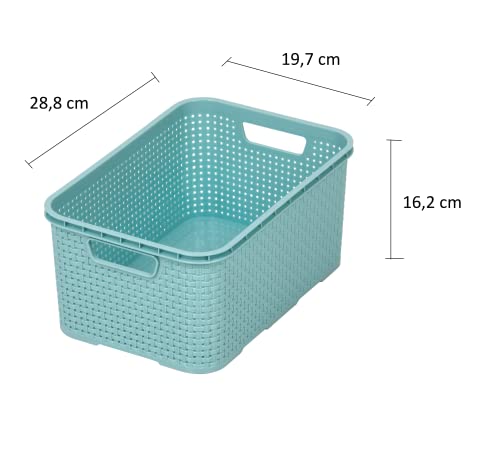 BranQ - Home essential Korb in Rattan Design 3er Set Grösse M 10 l, BPA-frei Kunststoff PP, Minze, 28,8x19,7x16,2 cm, 3 Stk.