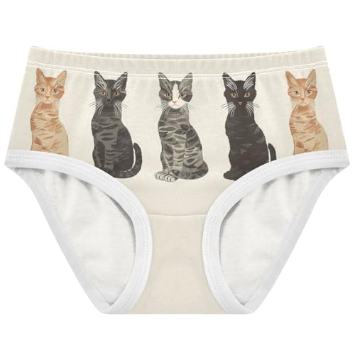 Girls' Brief Underwear Soft Cotton Underwear Kids Brief Panties for Girls and Toddlers 2-8 Years