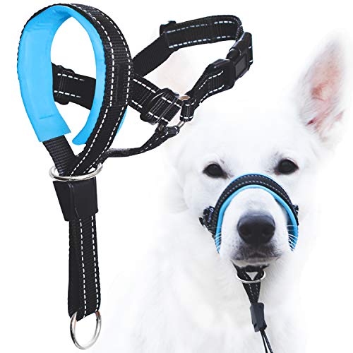 GoodBoy Dog Head Halter with Safety Strap - Stops Heavy Pulling On The