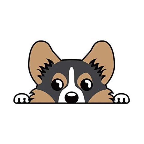 ION Graphics Tricolor Pembroke Welsh Corgi Sticker Decal Vinyl Cardigan 5" Bumper Locker Laptop Window - Sticks to Any Surface Cover