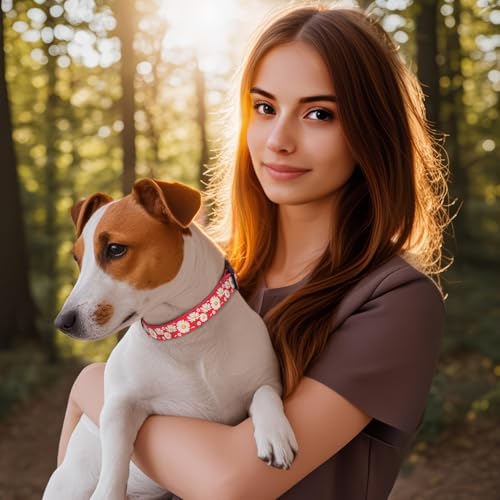 Image of HEELE Dog Collar, Adjustable Soft Dog Collar for Small Medium Large Dogs,Daisy Floral Patterned Puppy Collars with Quick Release Buckle Daisy Red S Length 9.84''-14.96'