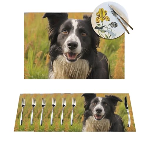Set de table PVC Border Collie lavable Mohado 30x45cm