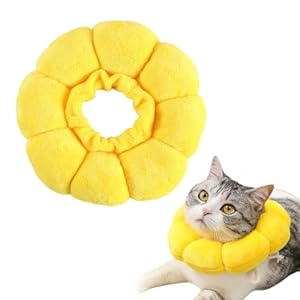 Rixotix Sonnenblume Halskrause Katze 2239