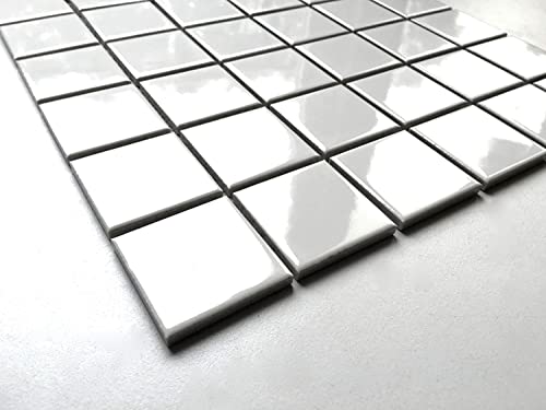 Arctic White 2x2 Glossy Ceramic Wall Tile (1 SQFT Sheet)