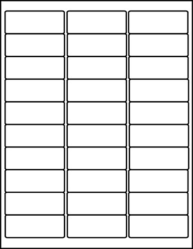 Americopy 3000 Blank Labels Name and Address Label, 2-5/8