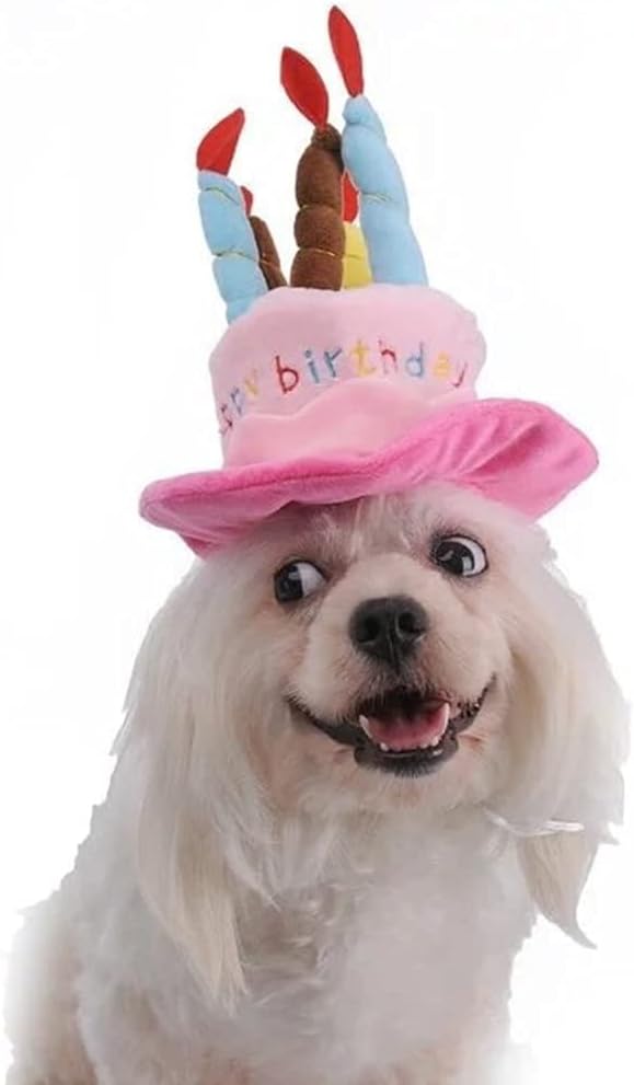 Derclive ペット用帽子 誕生日帽子 犬用帽子 パーティー用品 犬 猫 調整可能 キャンドルデザイン ペット コスチューム バースデーハット お 誕生日 ペットキャップ かわいい おしゃれ コスプレ 記念用品 Faz Co Zm