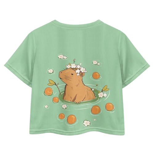 Image of Girls Crop Tees Crew Neck Casual Short Sleeve T Shirts Kids Loose Soft Comfortable Tees Blouses Shirt for Little Girl