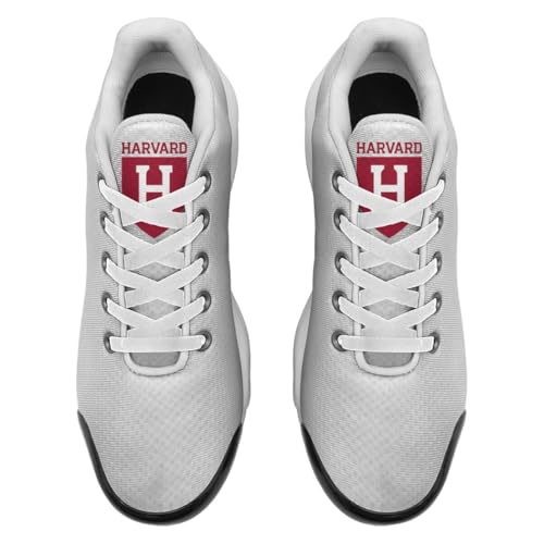 [DOFEMA] n[o[hw ^C Xj[J[ jOV[Y X|[cV[Y y ʋC JWA ₷  lC AEghA EH[LO ʋ ʊw s 풅p jp