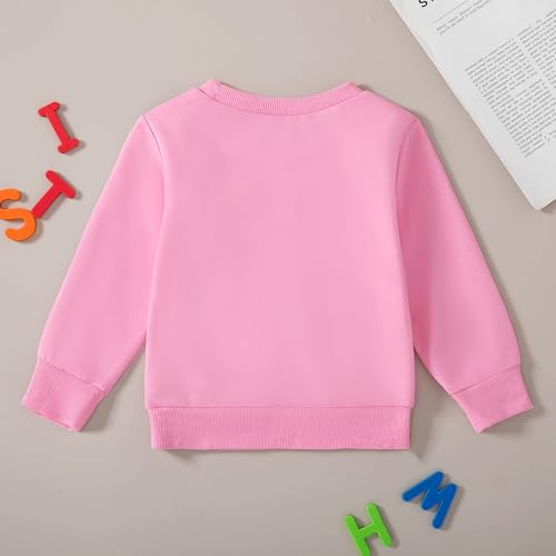 Toddler Fall Outfit Birthday Girl Print Sweatshirt Top Crewneck Pullovers Shirt Little Princess Birthday Clothes3