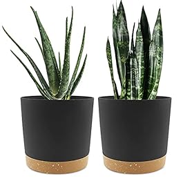 QCQHDU 8 inch Plant Pot,...