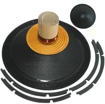 Amazon.com: B&C Speakers R8MBX51-8 Replacement Recon Kit for