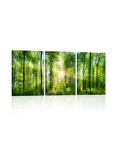 Art mural sur toile de forêt verte grand tableau arbre paysage de salon