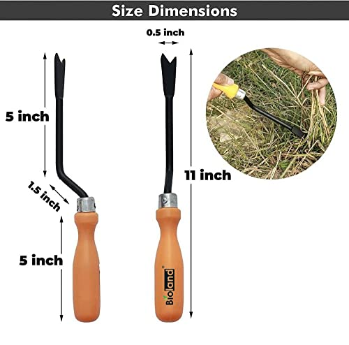 BIOLAND Home Gardening Tool Kit (Durable and Heavy Duty)-Trowel, Fork, Shovel, Rake, Weeder. Exclusively Designed and Made for Home Gardeners
