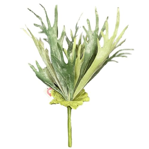 Generic GA[vc tFCNO[ Ǌ| ݂艺 lHϗtA ? sv  CeA 邳s CΉ