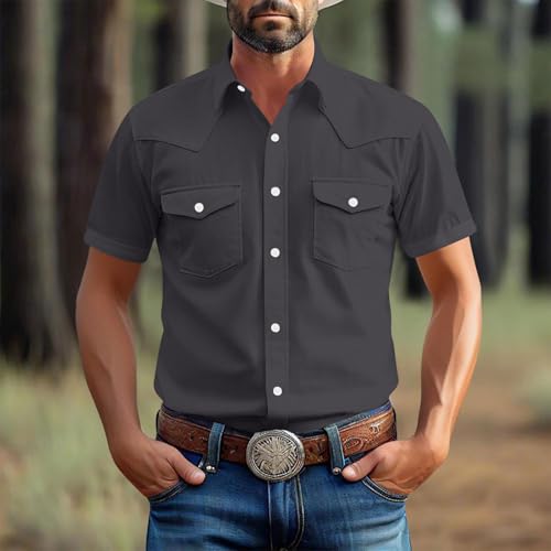 Mens Short Sleeve Button Down Lapel Shirts Work Casual Plus Size Loose Relaxed Fit Summer Shirt with Two Pockets2