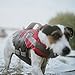 HUNTER Hunde-Schwimmweste MOSS, Farbe: rot, maximale Sicherheit durch starken Auftrieb, individuell verstellbar, reflektierende Elemente, praktische Handschlaufe, Größe: M