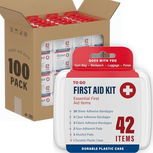 DecorRack 4200 Piece First Aid Kit 100 Individual Boxes of 42 Items Each First Aid Kits for Minor Cuts Scrapes Travel Car Home Work Field Trips or Camping (4200pcs 100 Pack)