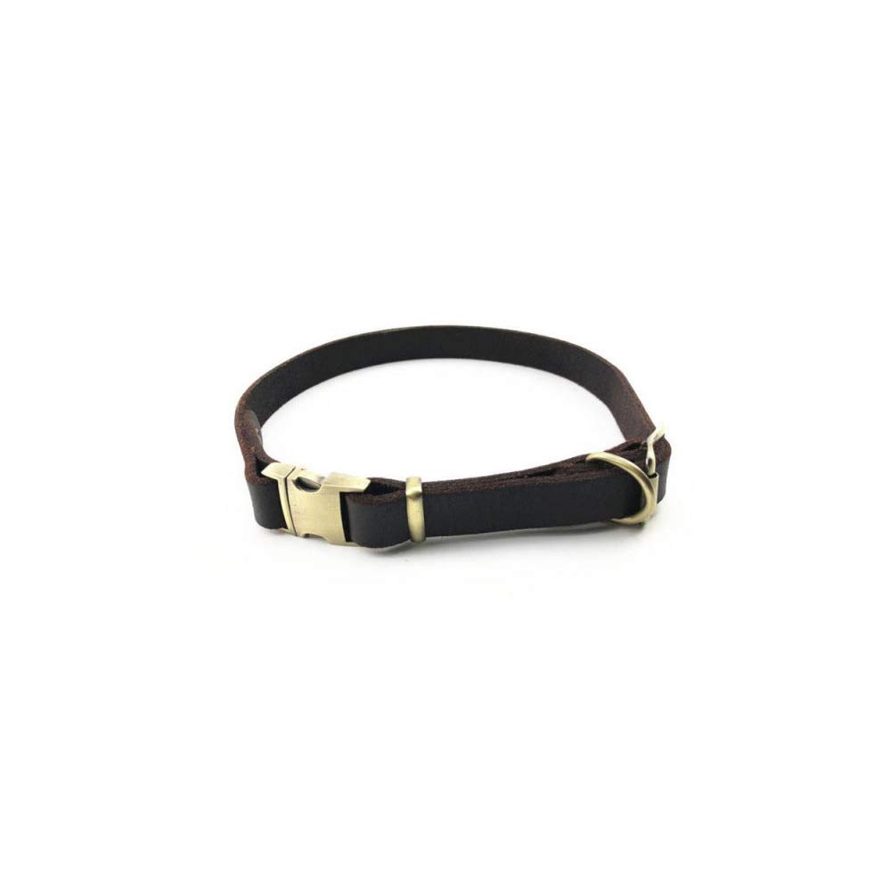 Collier pour chien en cuir véritable REYG collier réglable 30-50cm pour petit animal de compagnie