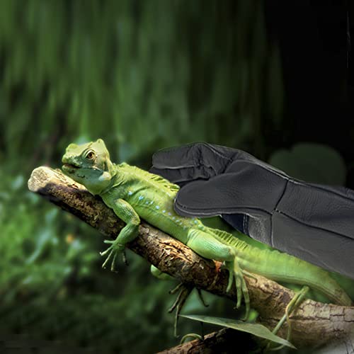 Animal Handling Gloves Bite Resistant, 60cm/ 23.6In Bite Proof Glove for Welding, Gardening, Handling Cat/Dog/Bird/Snake/Lizard/Falcon/Reptile, Anti-Bite Work Gloves (Deep Color)