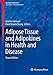 Produktbild Adipose Tissue and Adipokines in Health and Disease (Nutrition and Health)