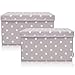 Produktbild Lifeney 2-Set Aufbewahrungsbox Kinder (37x25x21cm) I Aufbewahrungskorb für Kinderzimmer und Wohnbereich I Kinder Aufbewahrungskiste (Hellgrau Stern)