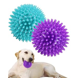 3.5” Spike Dog Balls with Squeaky, Thicker and Durable, 2 Pack Dog Chew Toys Clean Teeth Training for Puppy Small Medium Large Dogs, Dog Ball Toys for Aggressive Chewers